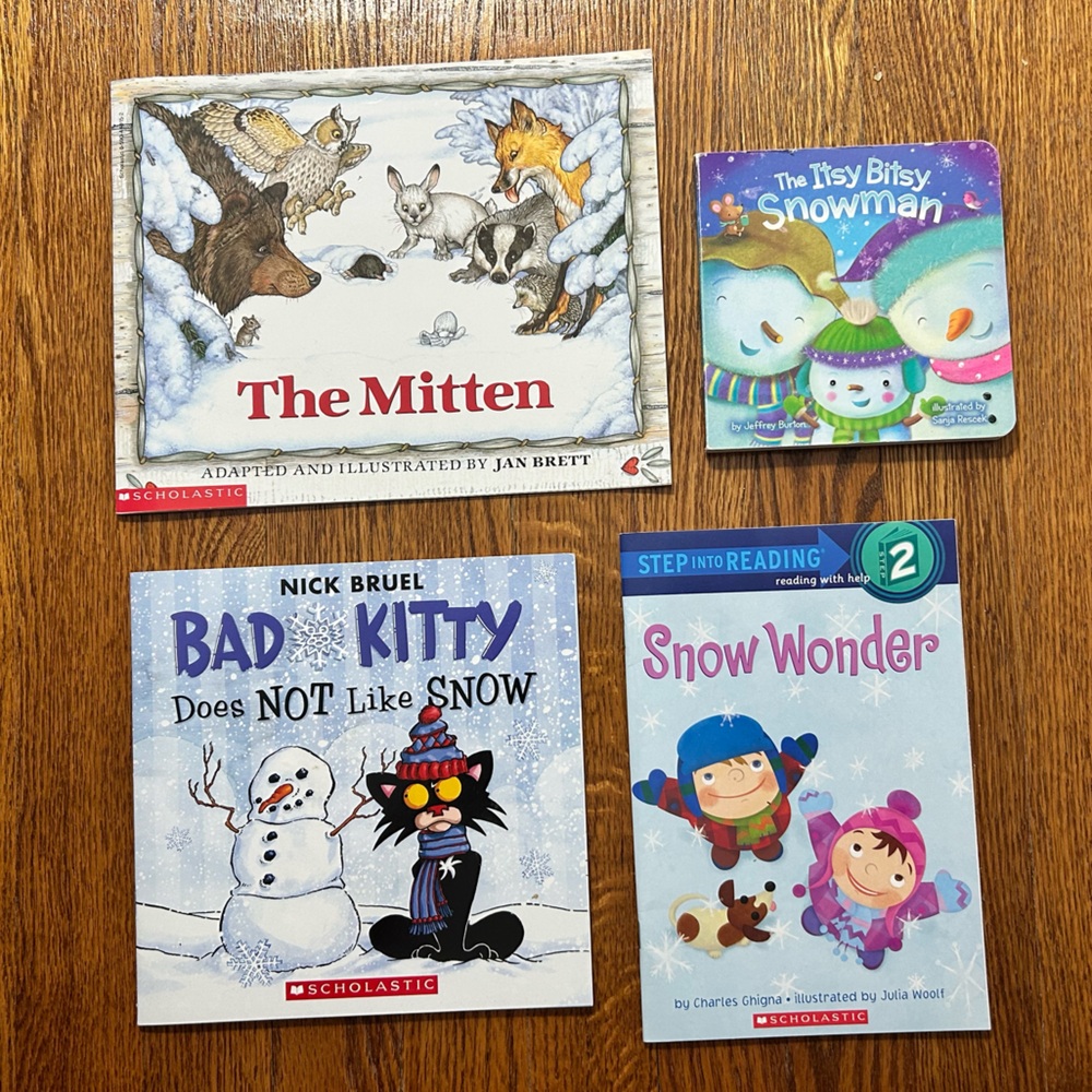 Winter book bundle, 4 books - EUC